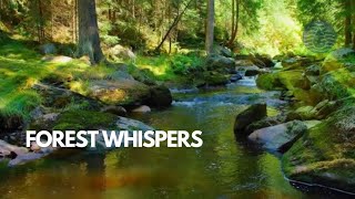 Calming Water Video, Soft Water Sounds, Perfect for Deep Sleep and Relaxation