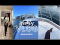 Vlog bus hit my 2022 porsche  day on a 50 foot yacht  more