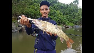 Sebarau tambunan screenshot 5