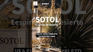 SOTOL: ESPIRITU DEL DESIERTO