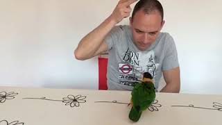 Parrot Pretends to be Dead When Its Human Fakes Gun Shot - 1074483