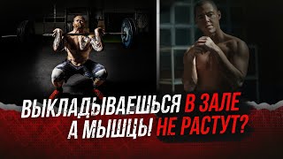 Почему не растут МЫШЦЫ?