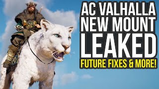New Mount, Challenges, Update On Fixes & More Assassin's Creed Valhalla News (AC Valhalla)