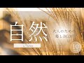 「自律神経が整う自然音」虫の声と水音・遠くにフクロウが鳴いてます・10時間