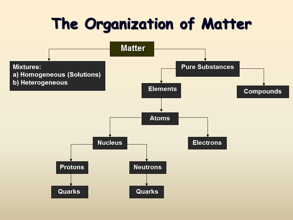 Organization Of Matter Chart