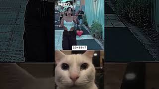 Download Lagu #fadas MP3