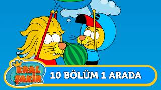 10 Blm 1 Arada  159  Kral akir