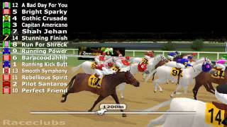 Newbury Colts Sprint Challenge Final 4 7Y C