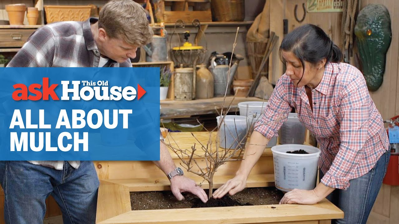 All About Mulch | Ask This Old House - YouTube