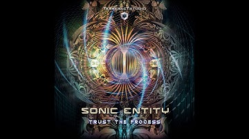 Sonic Entity - Trust The Process