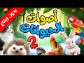 أصوات الحيوانات 2 بدون إيقاع طيور بيبي  