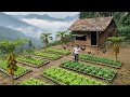 Rich Woman Builds a Forest Home | Growing Vegetables &amp; Living Off-Grid