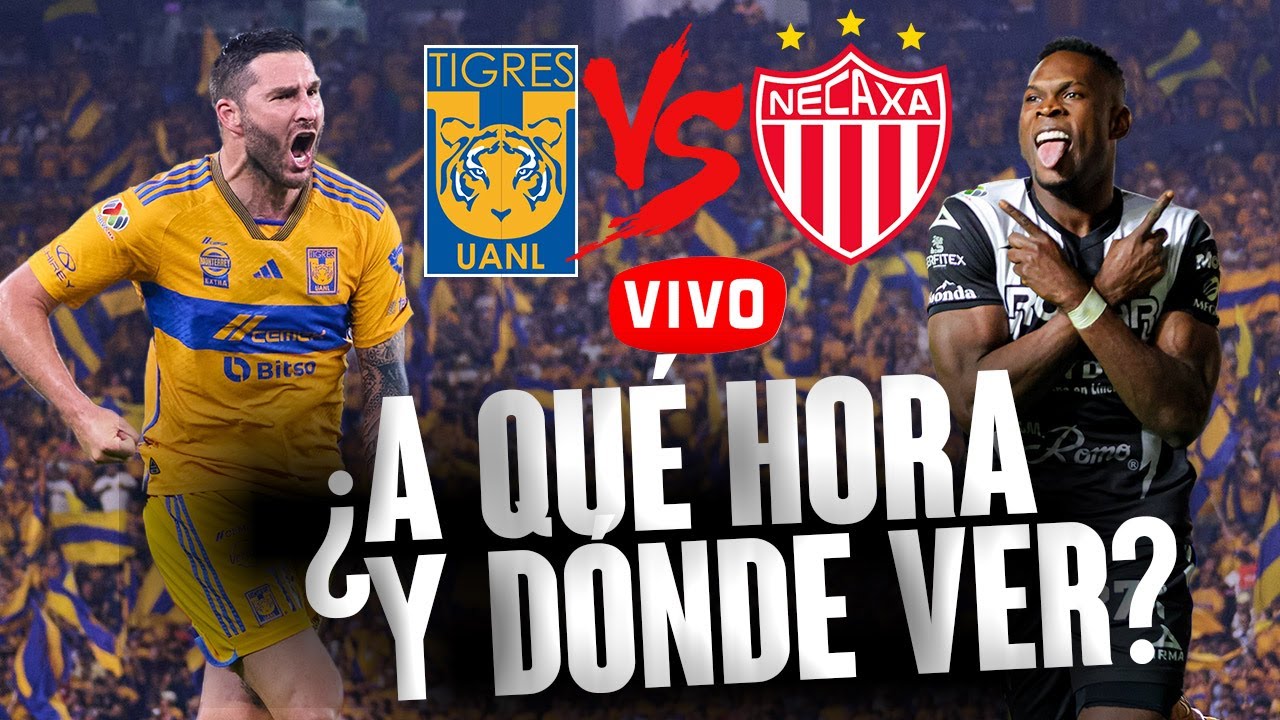 Tigres vs Necaxa: A QUÉ HORA y DÓNDE VER EN VIVO el juego de hoy sábado ...