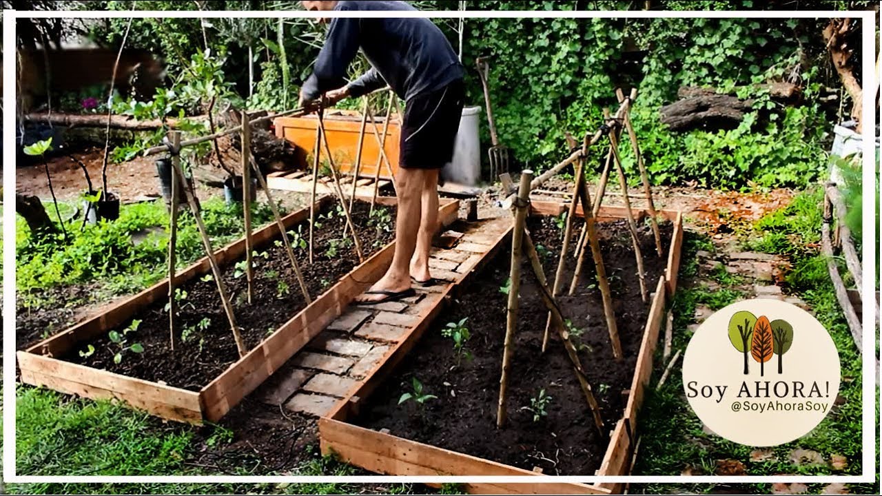 Cambiamos todo el Huerto! Nuevos bancales para los tomates!! Que sembramos en Septiembre?