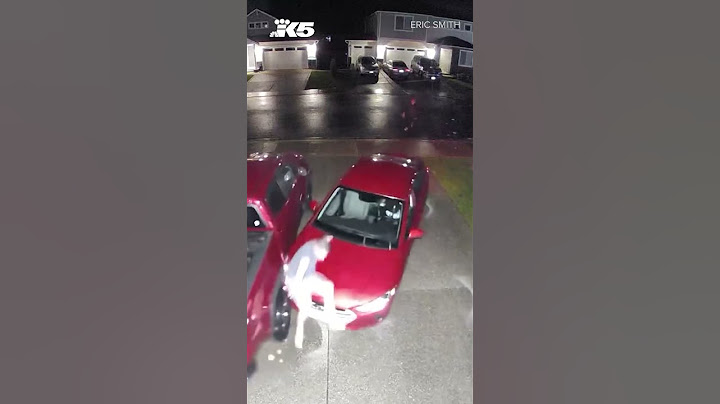 Fed up homeowner confronts car thief in his driveway