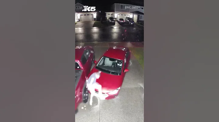 Fed up homeowner confronts car thief in his driveway