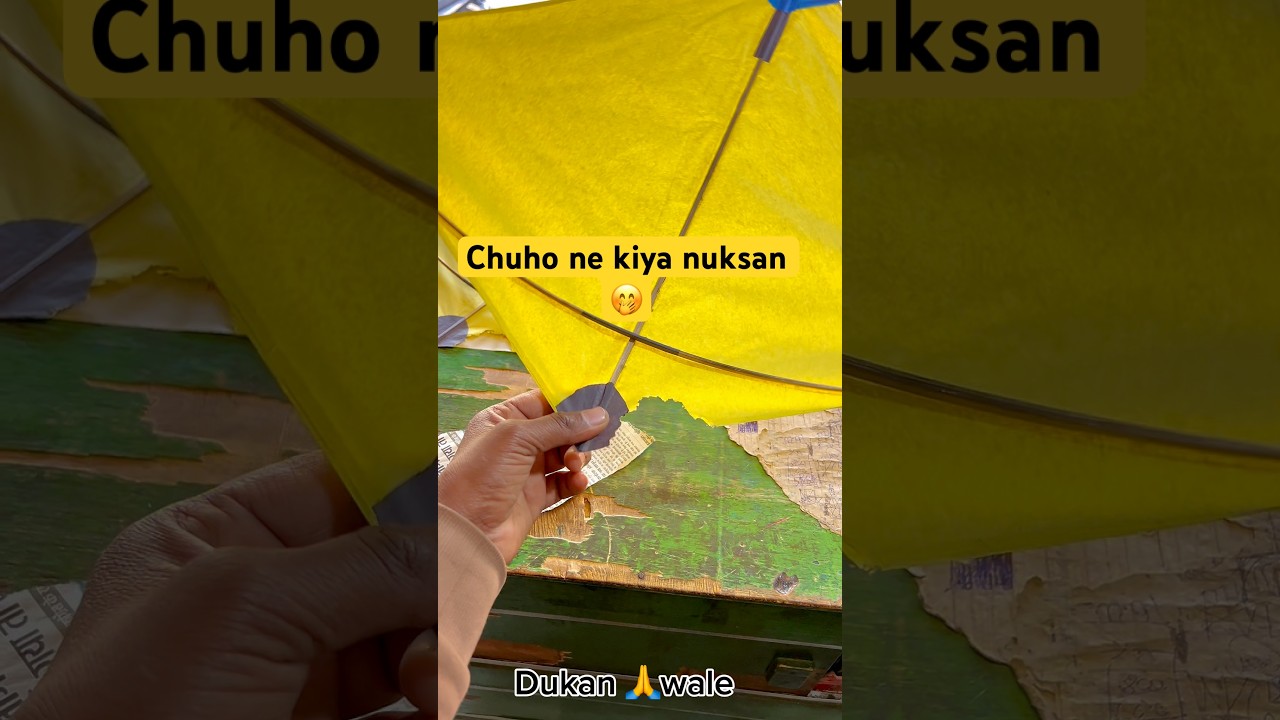 Rat 🐀 chuho ne kiya kite ka nuksan aaj 