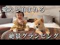 愛犬と一緒に泊まれる絶景グランピングが最高過ぎました…!