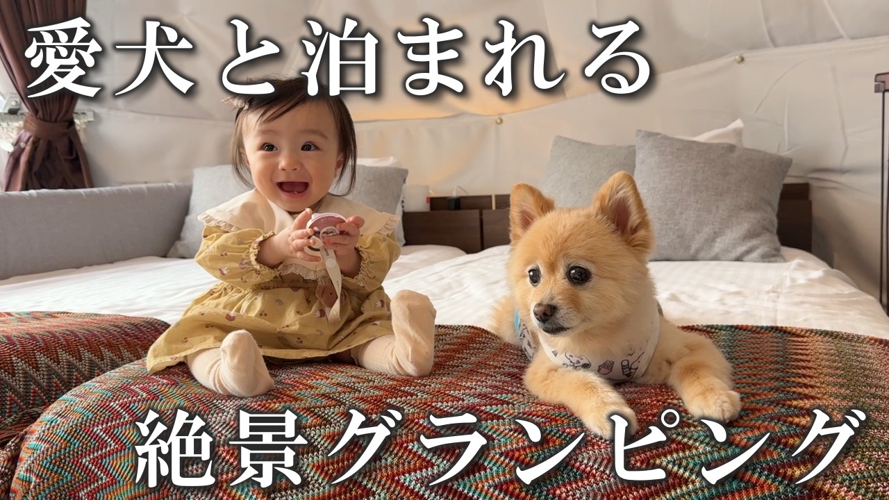 愛犬と一緒に泊まれる絶景グランピングが最高過ぎました…!