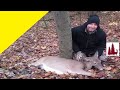 Doe ravin r29 crossbow slow motion deer