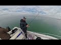 Attacco a vuoto di una spigola a Top water in laguna di Venezia! 