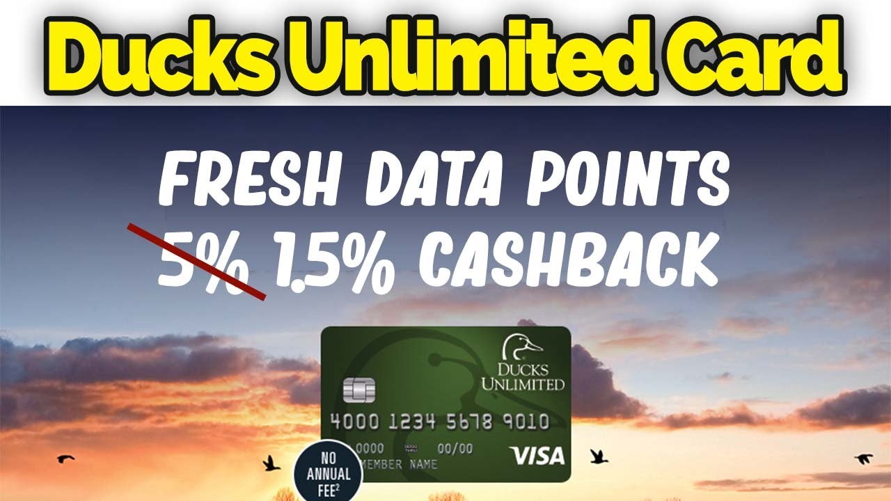 The Fall Of Ducks Unlimited Credit Card Just 1 5 Cashback YouTube