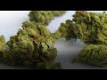 How Do You Decarb Kief? (Oven Method)