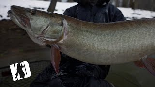 Keyes Outdoors Musky Hunting Adventures 2026, Episode 2: Virginia Dead of Winter Muskies (Part 2)