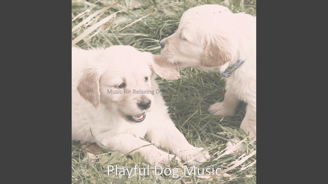 Warm Music for Dog Walking