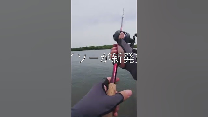 Kさんのお部屋らしいです。   ダイソーが新発売した激安ベイトリールがやばすぎるww【試投インプレ】