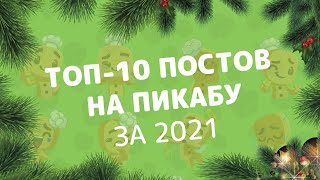 ТОП 10 ЛУЧШИХ ПОСТОВ НА ПИКАБУ ЗА 2021