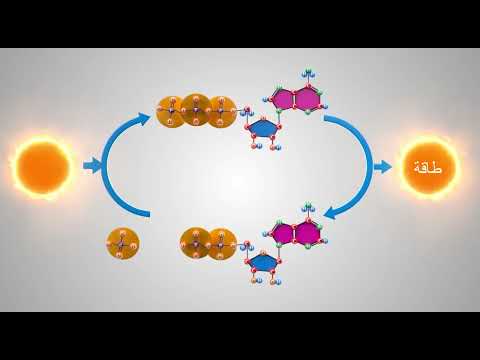 فيديو: ما هو الغرض من ATP في كل من التنفس الخلوي والتمثيل الضوئي؟