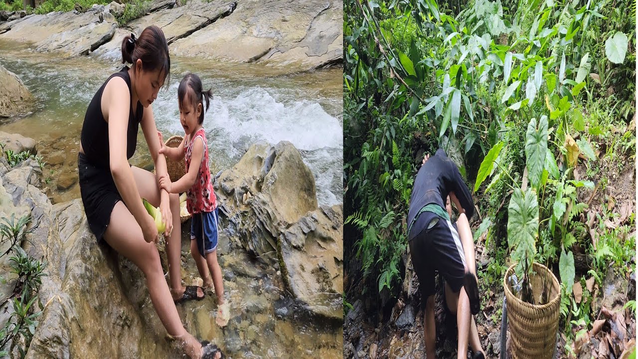 A 16-year-old single mother went to pick bamboo shoots and was followed ...