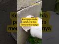 Tips : Menyambung keni pipa yang patah #warta #faktamenarik #faktaunik #unik