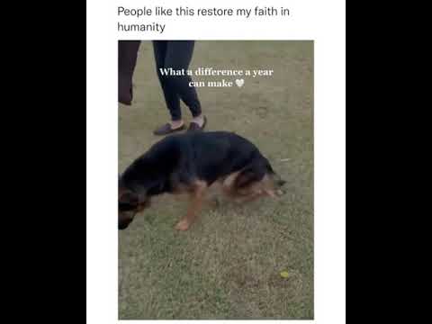 #shorts #funny #memes #meme