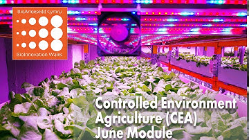 Controlled Environment Agriculture (CEA)- BioInnovation Wales