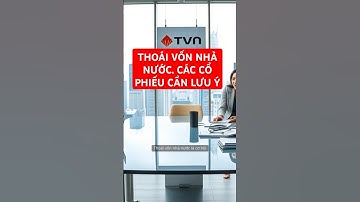Thoái Vốn Nhà Nước Tăng Tốc Khi Sáp Nhập Bộ Ngành? Những Cổ Phiếu Đáng Chú Ý!