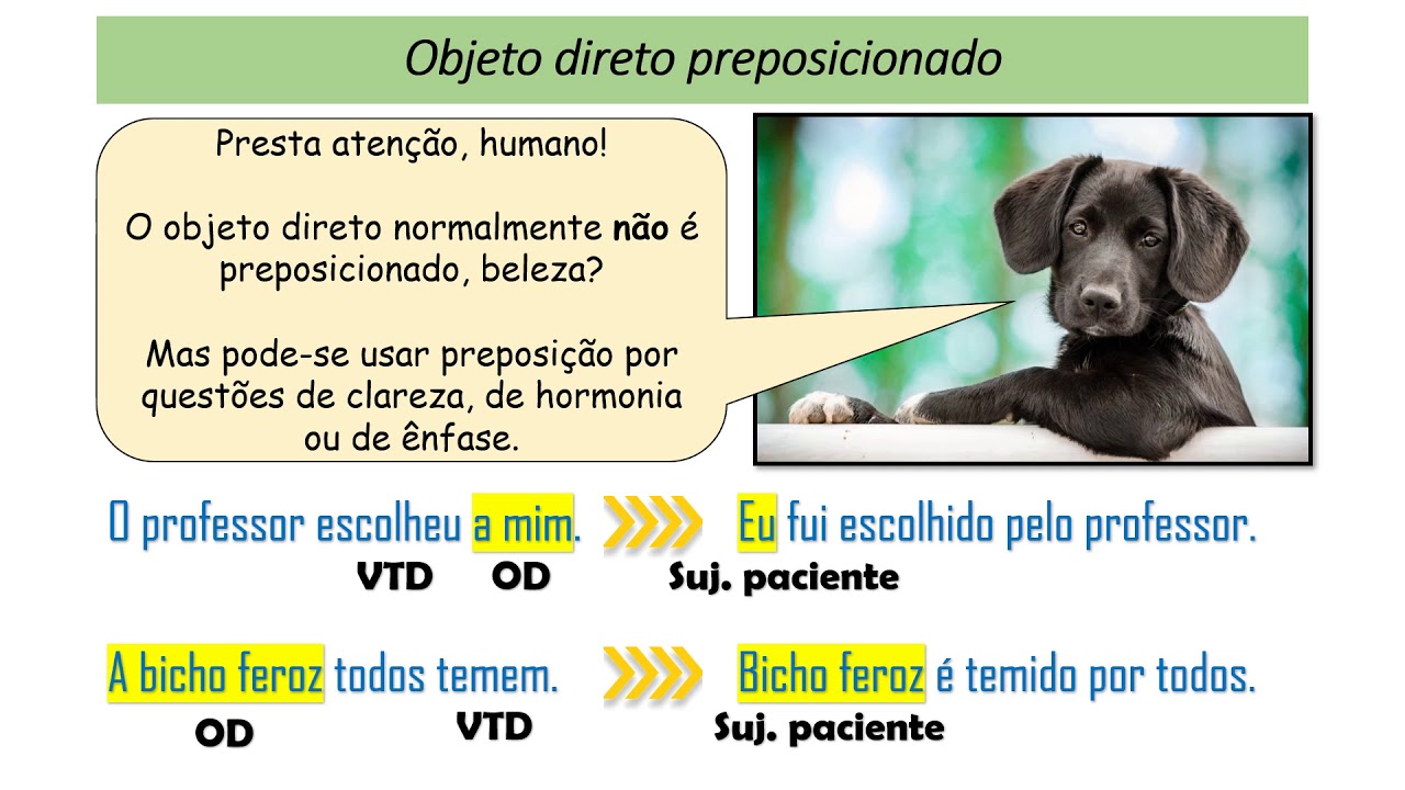 Exercícios Sobre Objeto Direto E Indireto - BINKEDU