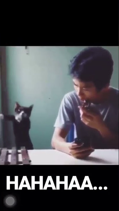 DIKIRA ADA TELPON MASUK, TERNYATA....... BIKIN NGAKAK 🤣🤣🤣