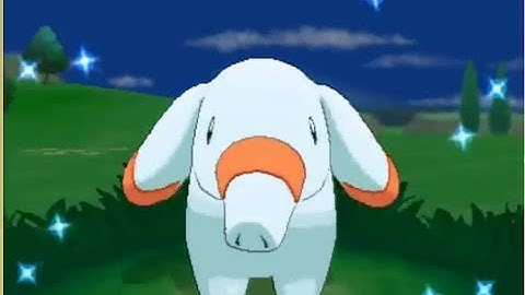 [Live] Shiny Phanpy after 216 Friend Safari Encounters