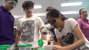 EasyPCR Video Pitch and Demo