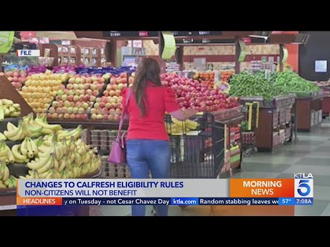 CalFresh Benefits: Calculate Your Potential Savings Today!