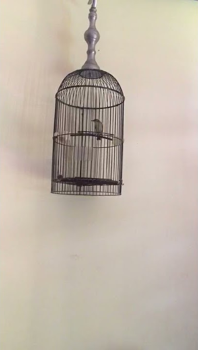 pleci nembak panjang Nobita molor