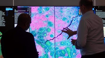 The "Absolutely Stunning Display" of NanoString