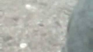 V240610_21.350001.AVI