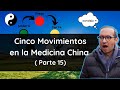 Cinco Movimientos y sus características en la dinámica de la Medicina Tradicional China ( 15 parte)