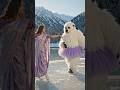 Polar Bear K Saath Dance ✨🎬