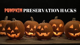 Learn How to Preserve a Carved Pumpkin!