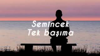 Semicenk-Tek başıma(Sözleri)