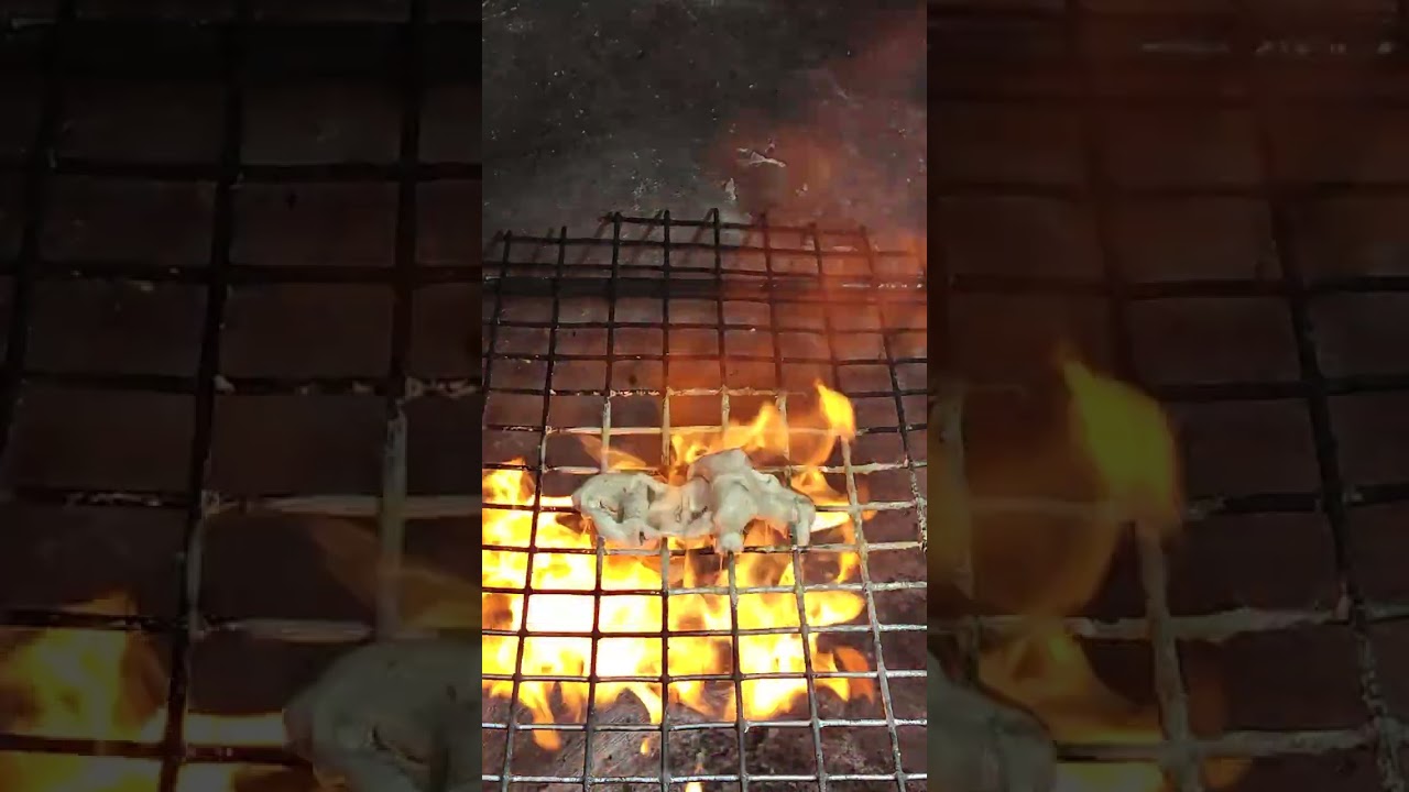 Golden Elephant Toy BURNING - Satisfaction Video [ASMR]